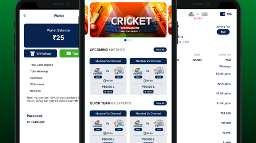 Dream11 Prediction Cricket Website Business Model and Earning?